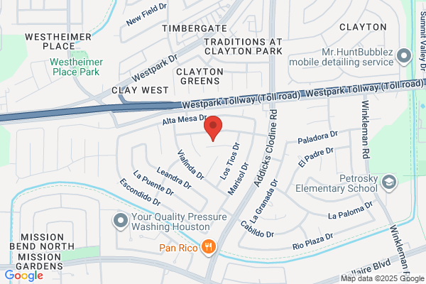 Professional Chimney & Venting Services
