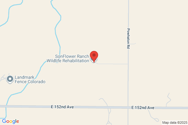 Sunflower Ranch Co