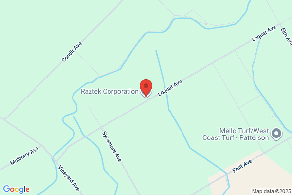 Raztek Corporation