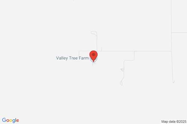 Valley Tree Farm