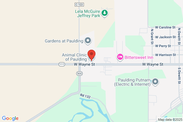Animal Clinic of Paulding