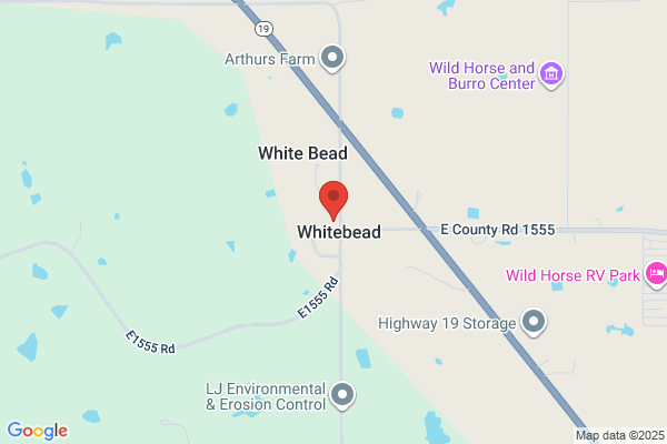 Whitebead School