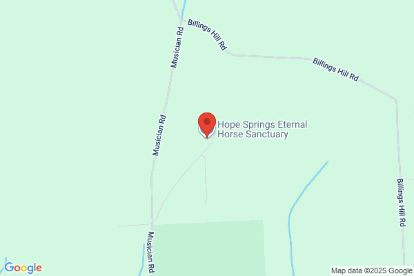 Horse Rescue & Sanctuary