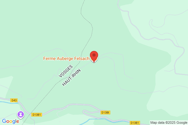 Felpausch Food Center, Store