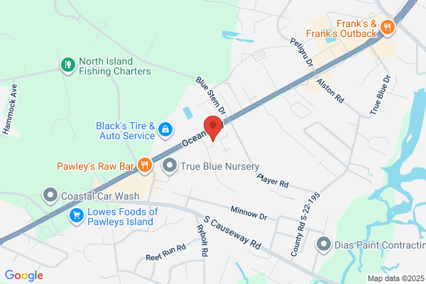 Pawleys Veterinary Hospital