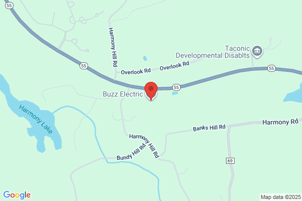 Buzz Electric