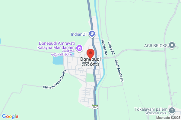 Donepudi Associates Inc