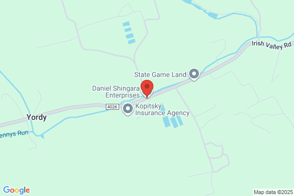 Dan Shingara Enterprises Inc