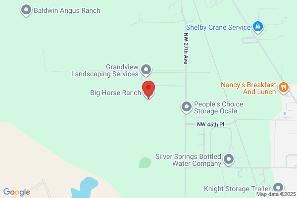 Big A Horse Ranch