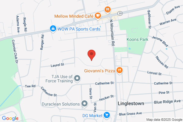 Central Dauphin School District, Linglestown Junior High School