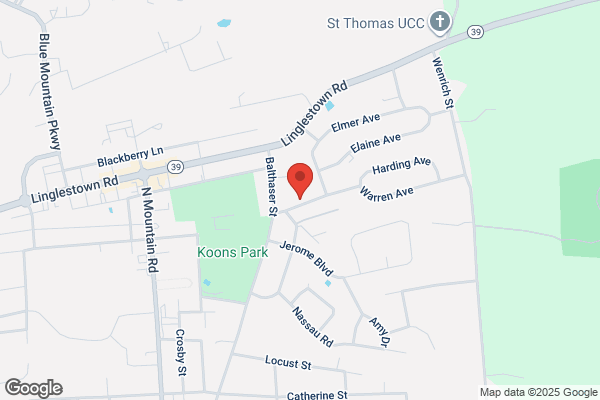 Ritchie's Tree Service