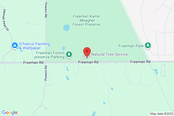 Natural Tree Service
