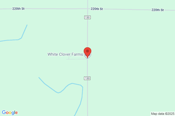 White Clover Farms