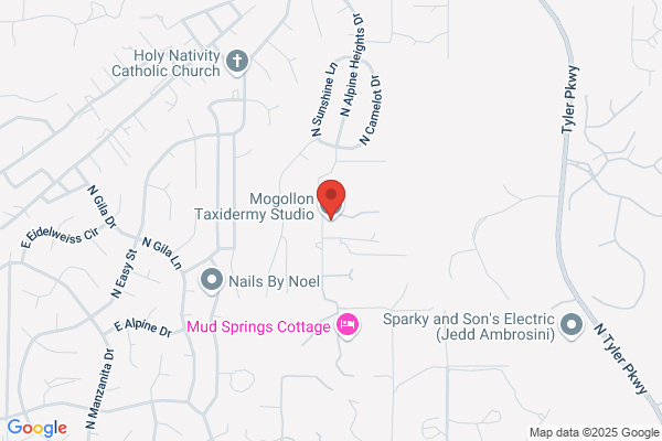 Mogollon Taxidermy Studio