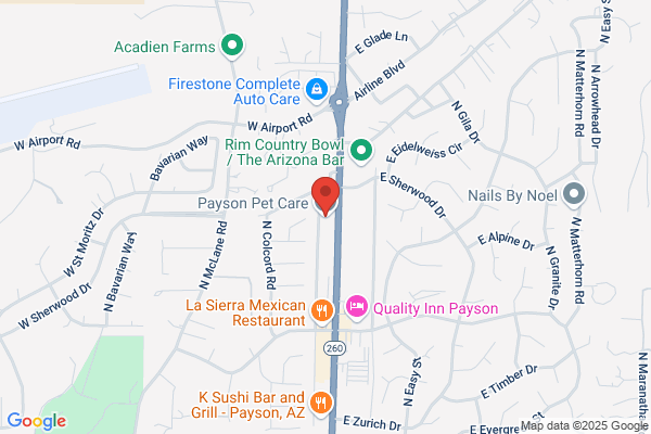 Payson Pet Care
