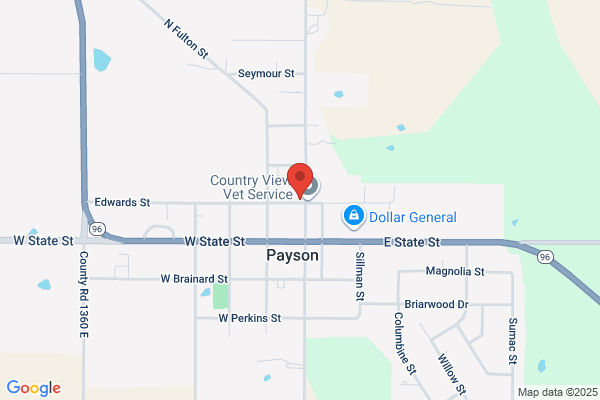 Payson General Agency