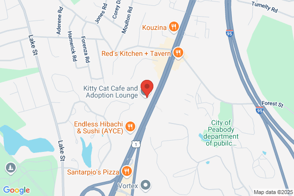 Midas Auto Service Experts