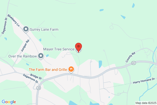 Mayer Tree Service