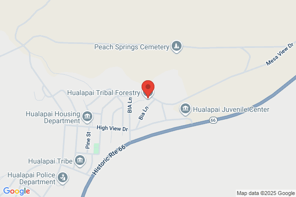 Hualapi Tribe Forestry