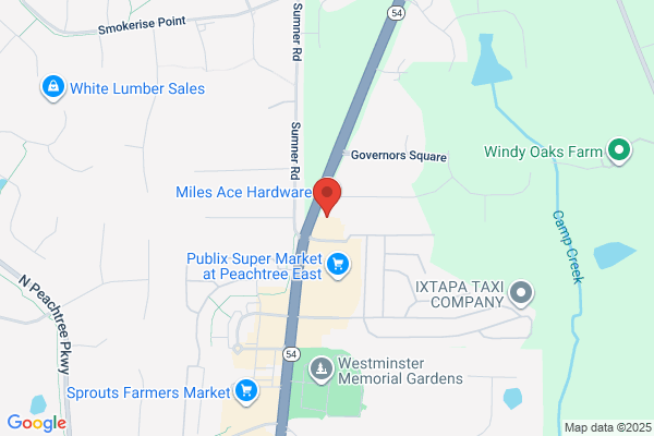 Advance Auto Parts