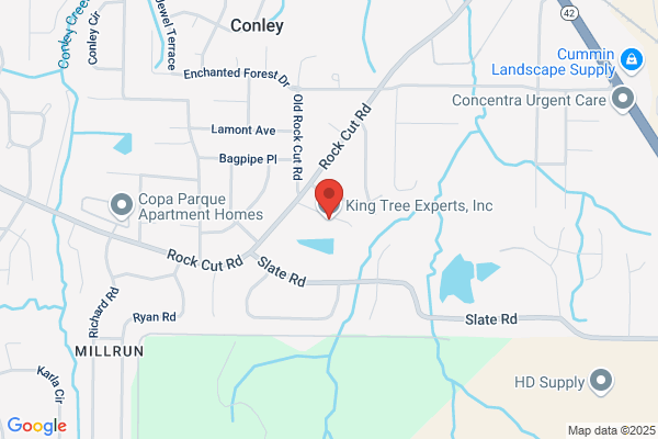 King Tree Experts Llc