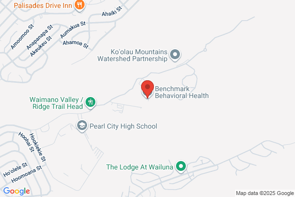 Benchmark Behavioral Health Systems