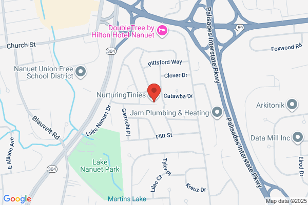Littleones Playhouse Daycare and Childcare Services