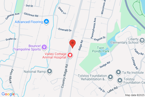 Rockland County Association For Children With Learning Disabilities