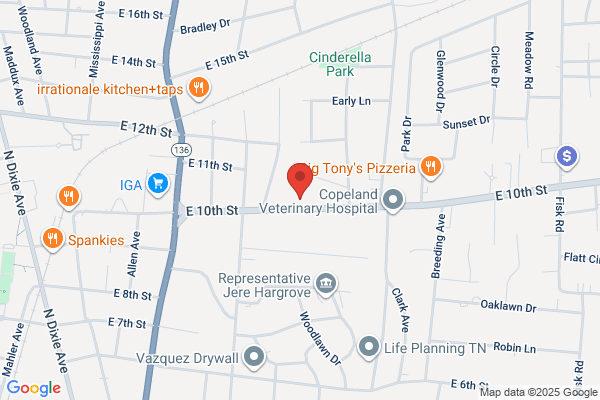 Hayes Family Dentistry