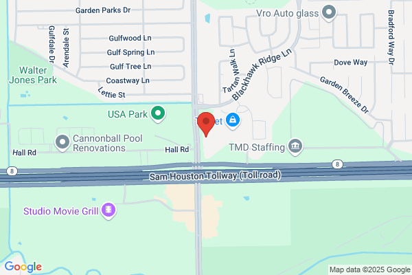 Castle Dental & Orthodontics