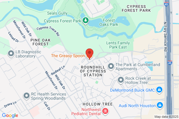The Greasy Spoon Soulfood Bistro