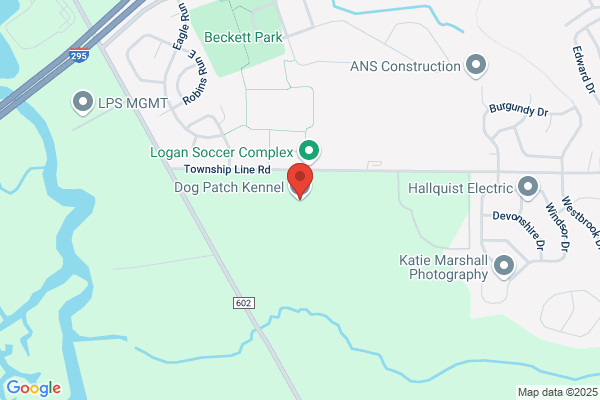 Dog Patch Kennel