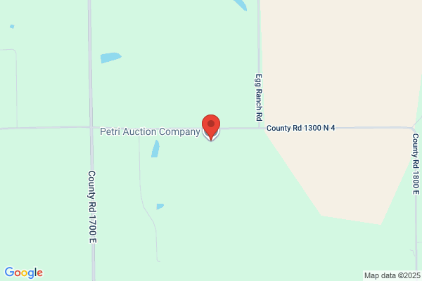 Petri Auction