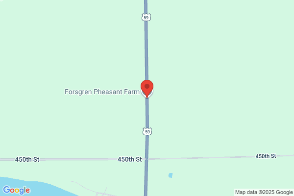 Pheasant Farm-Forsgren