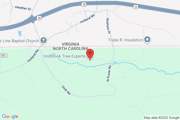 Holbrook Tree Experts