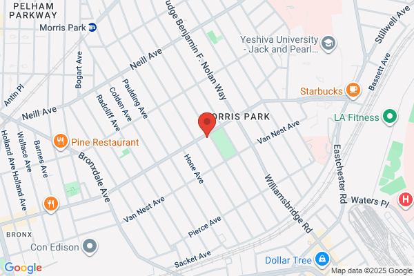 Kirtida Shah DDS