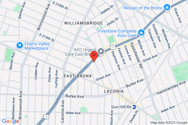 bronxdentistny
