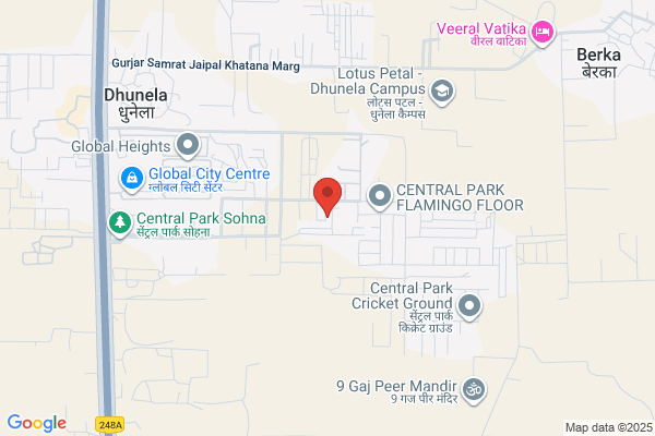 Panigrahi Dev