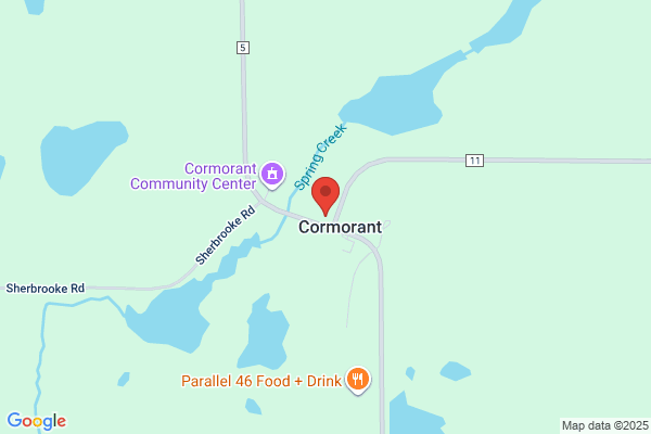 Cormorant Auto Restoration
