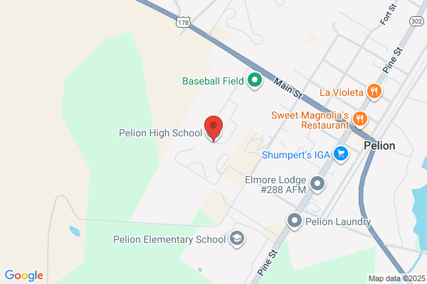 Pelion High School