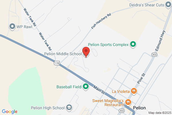 Pelion Middle School
