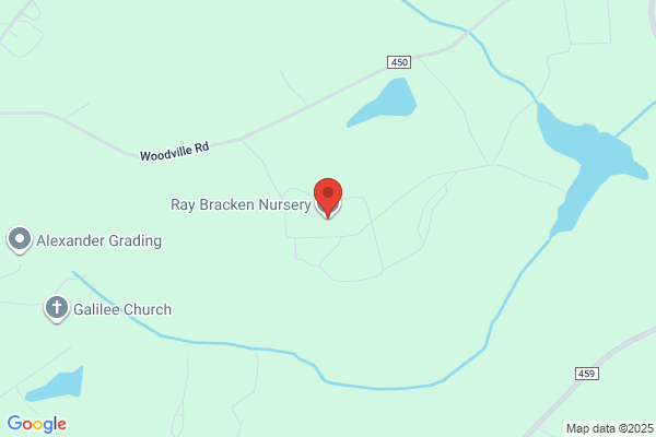 Bracken Automotive & Towing