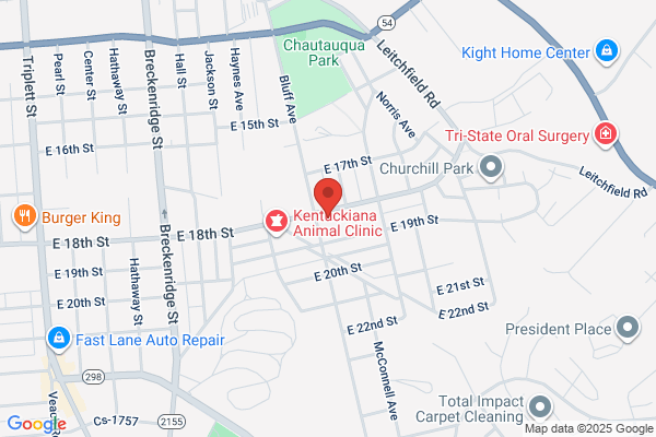 Durham Automotive