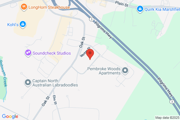 Waltham Pest Services