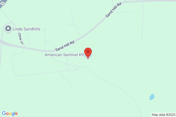 American Sentinel Group