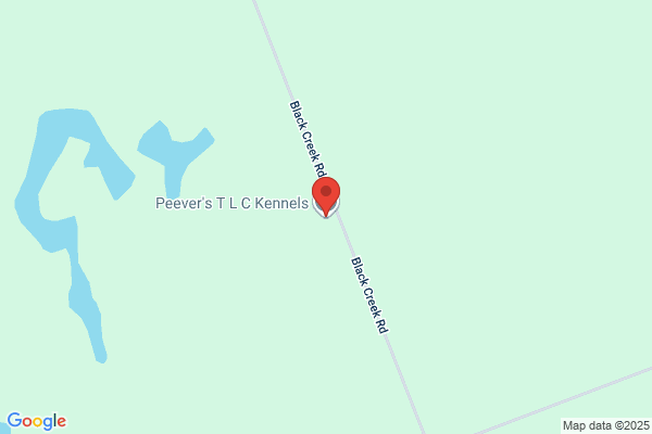 T Lc Kennels