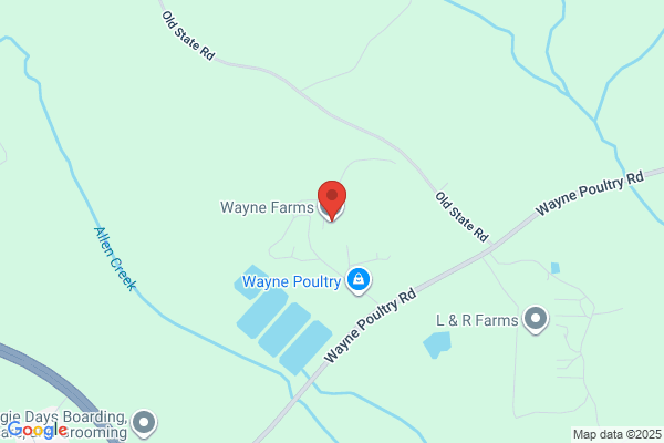 Wayne Farms
