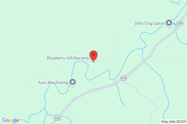Blueberry Hill Nursery & Greenhouse