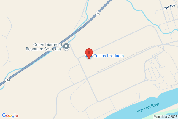 Collins & Collins