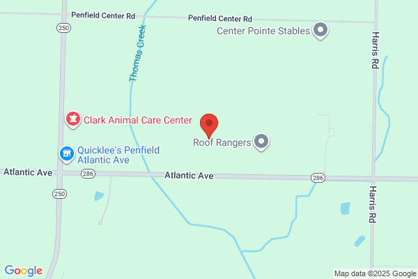 Goodwill Plumbing & Heating